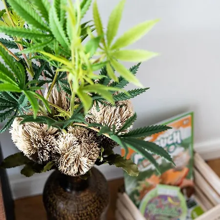 Apartment Flussblick Am Töpferberg 3 Bad Schwartau